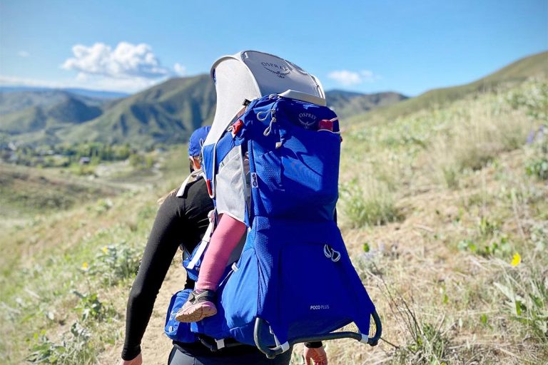 8 Best Child Carrier Backpacks for Hiking in 2025: Top Picks for Family Adventures