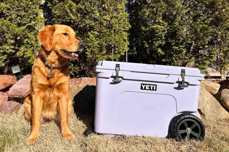 8 Best Camping Coolers With Wheels in 2025: Top Picks for Outdoor Adventures